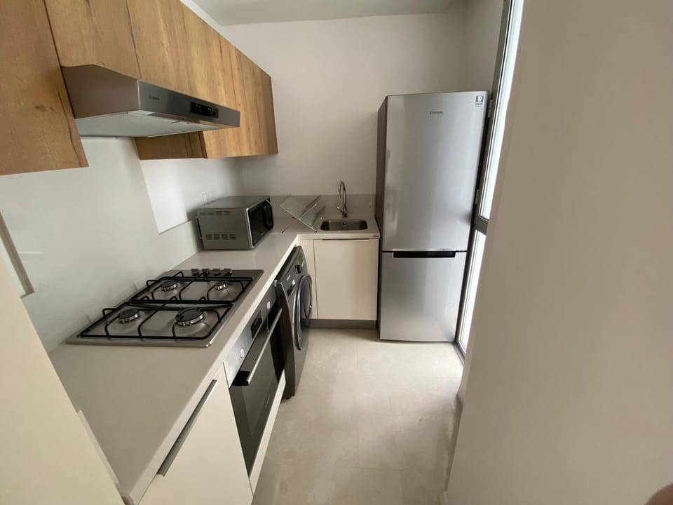 minibar, pet friendly, stove, washing machine, dryer, kitchen