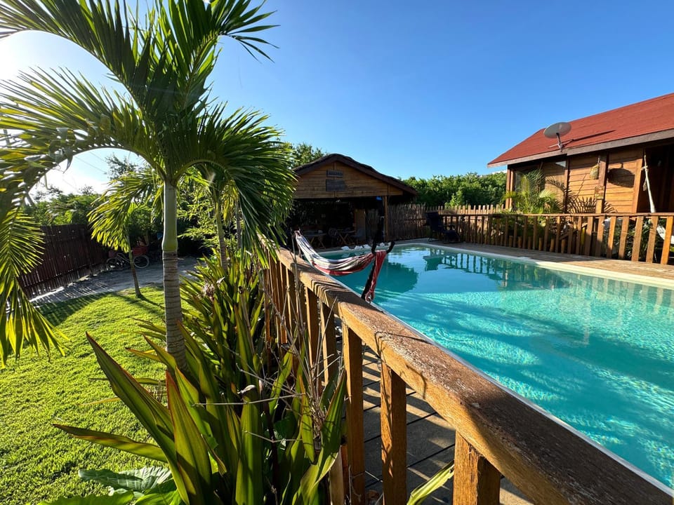 Garden, Garden view, Swimming pool