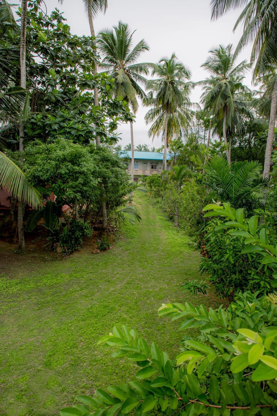 Garden, Garden view