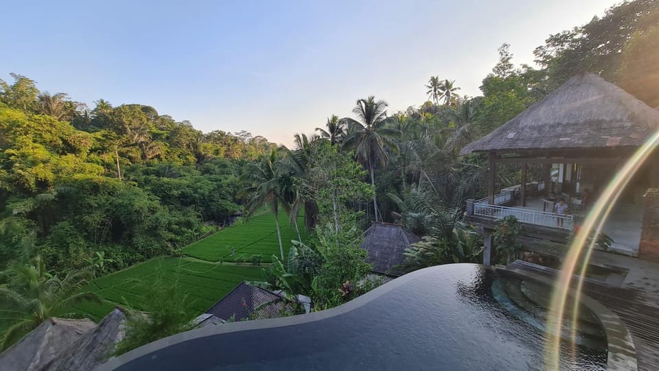 Property building, Garden, Pool view, Swimming pool