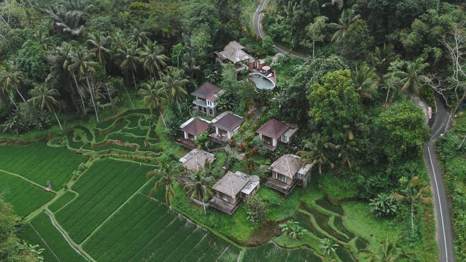 Property building, Natural landscape, Bird's eye view