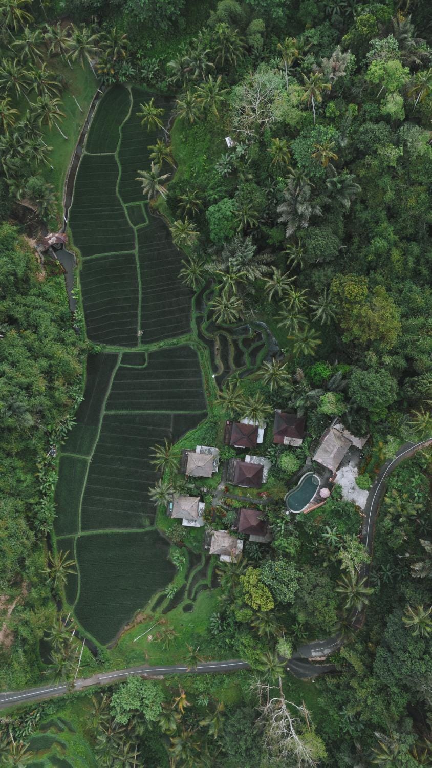 Property building, Natural landscape, Bird's eye view