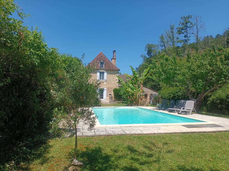 Garden, Swimming pool, sunbed