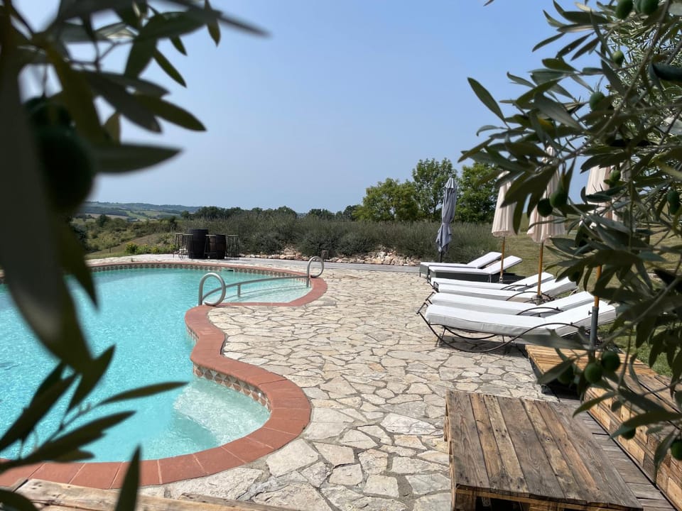 Garden, Garden view, Swimming pool, sunbed