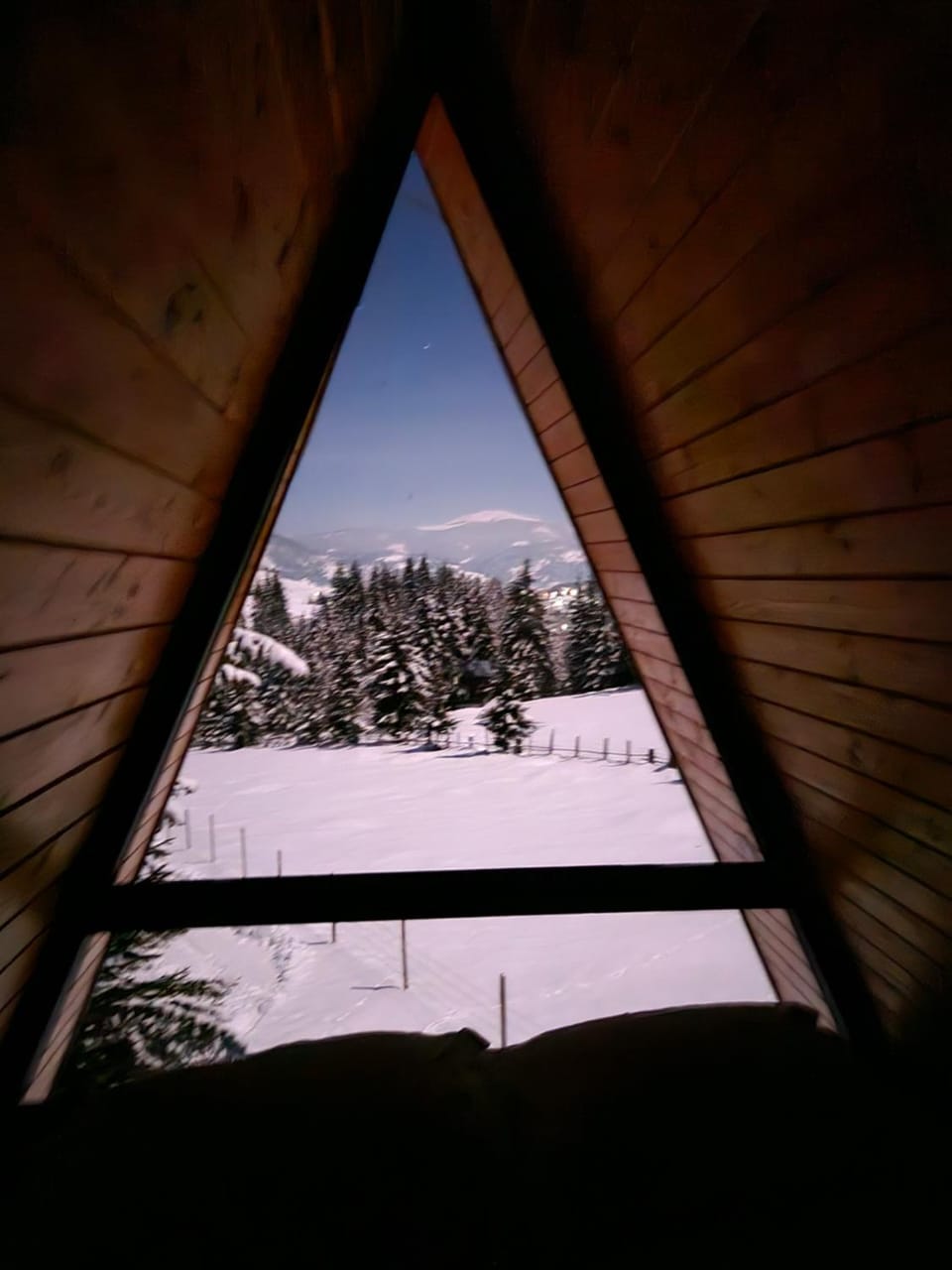 Cabana Corbilor The Raven's Hut Chalet in Romania