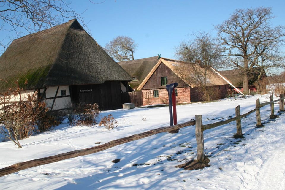 Natural landscape, Winter