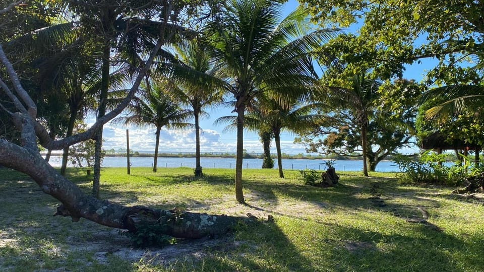 Garden, Garden view, Sea view