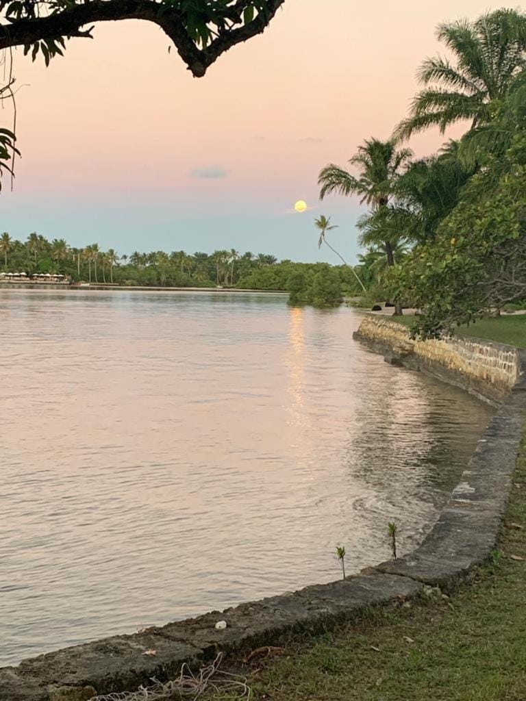 River view