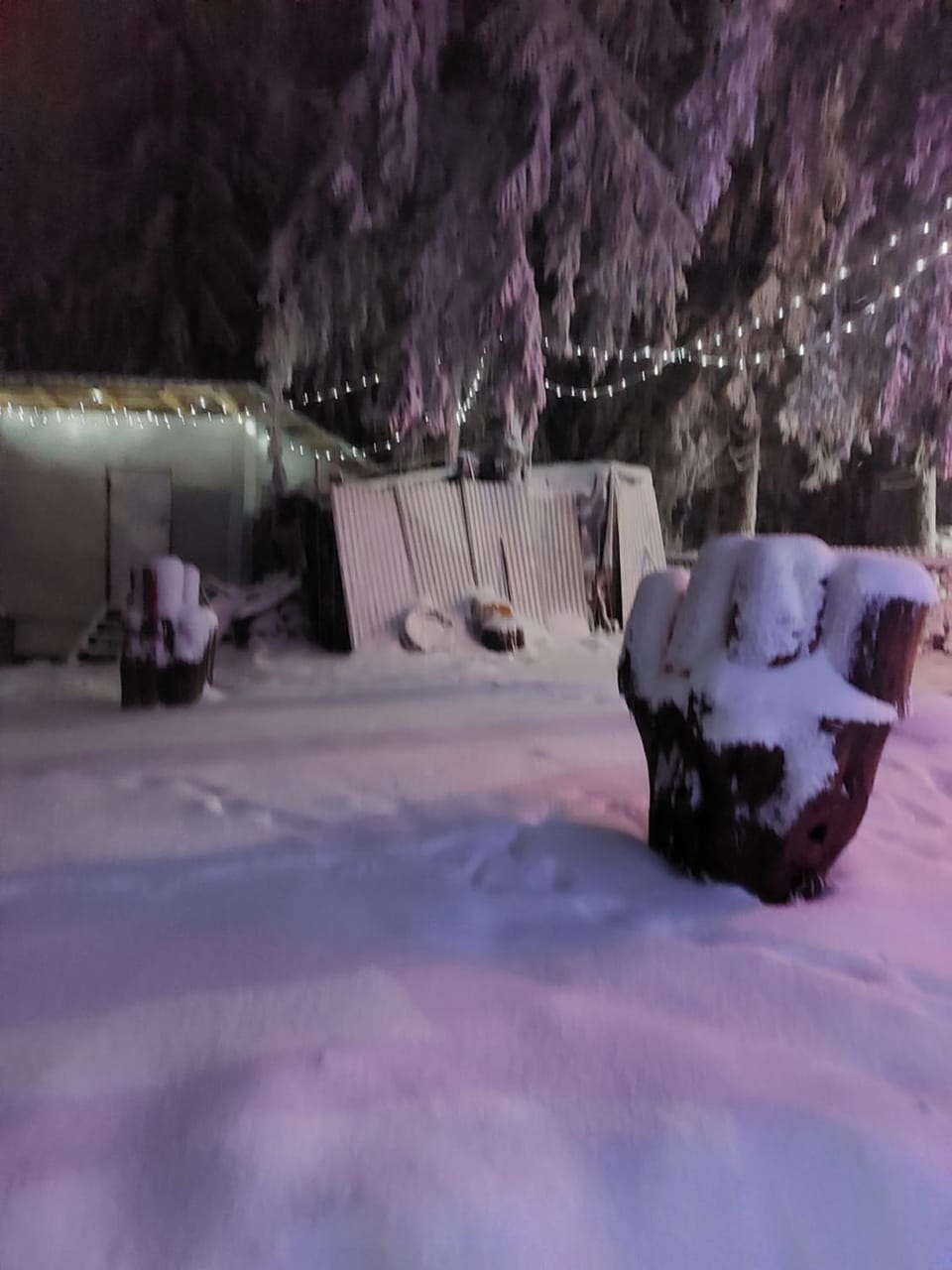 Pensiunea Aurora Vartop Bed and Breakfast in Cluj County