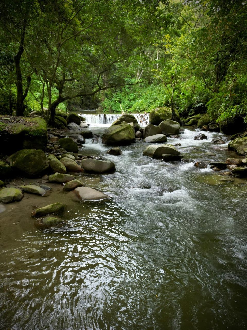 Natural landscape, River view