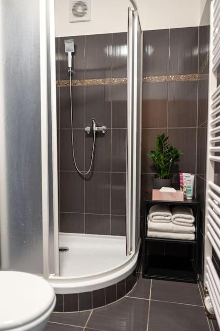 Byt Krenova 1+kk Apartment in Brno