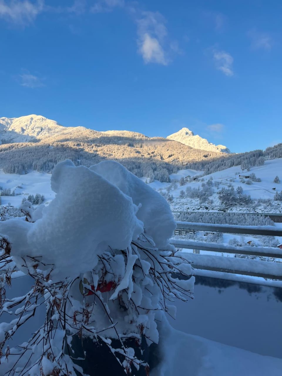 Mountain view