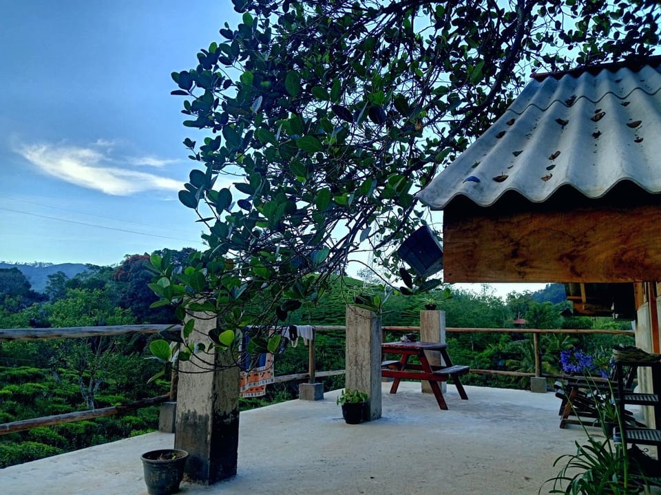 Property building, Day, Natural landscape, Garden, View (from property/room), Balcony/Terrace, Dining area, Garden view