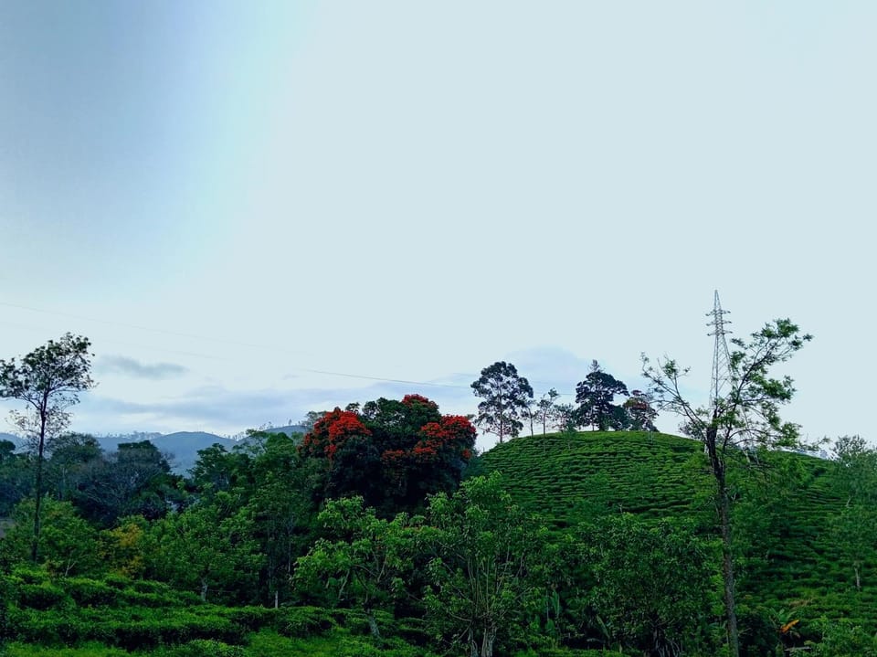 Day, Natural landscape, Mountain view