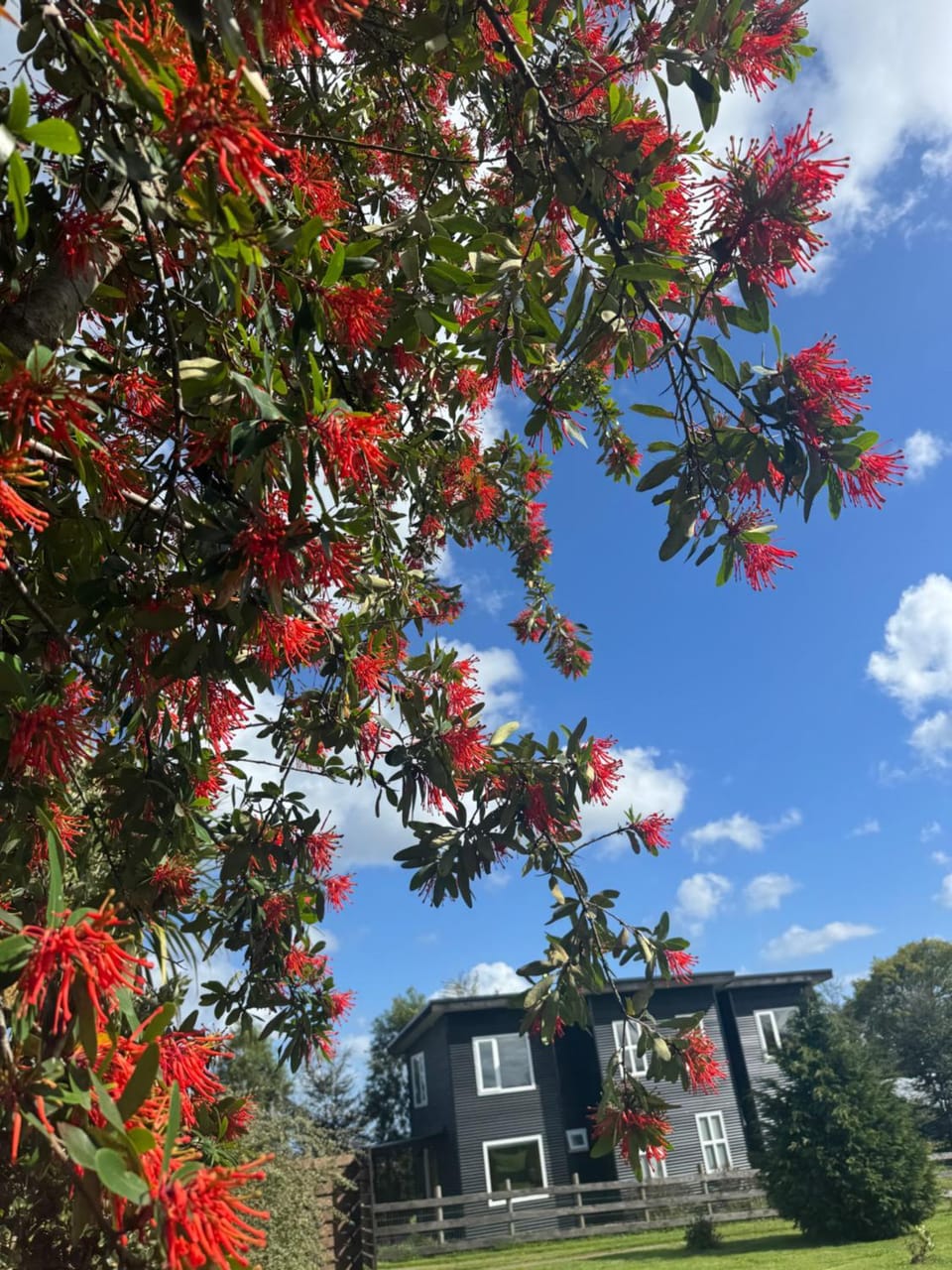 Cabañas Los Aromos de Puerto Varas House in Los Lagos, Chile