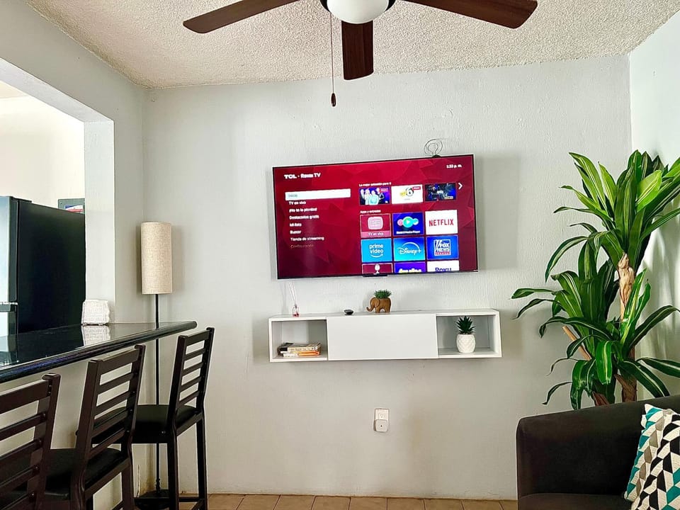 TV and multimedia