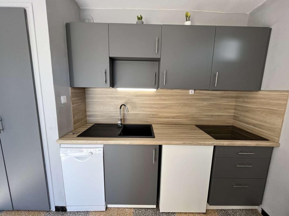 Appartement à 2 pas de la plage avec terrasse et parking - FR-1-387-186 Apartment in Marseillan