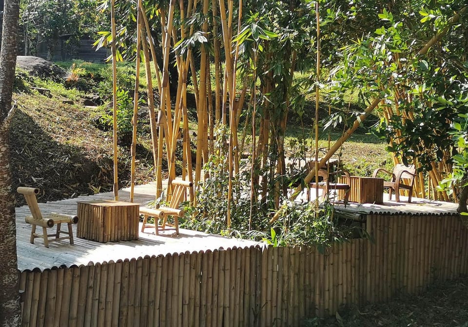 Day, Garden, Garden view