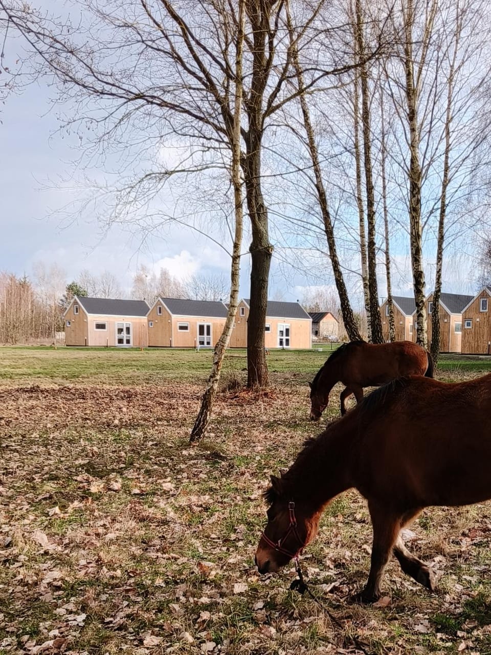 ZAGAJNIK Country Camp obok Suntago House in Masovian Voivodeship