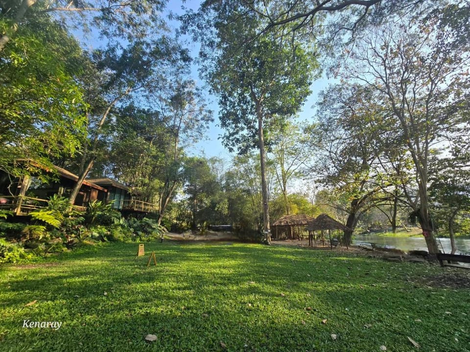 Natural landscape, Garden