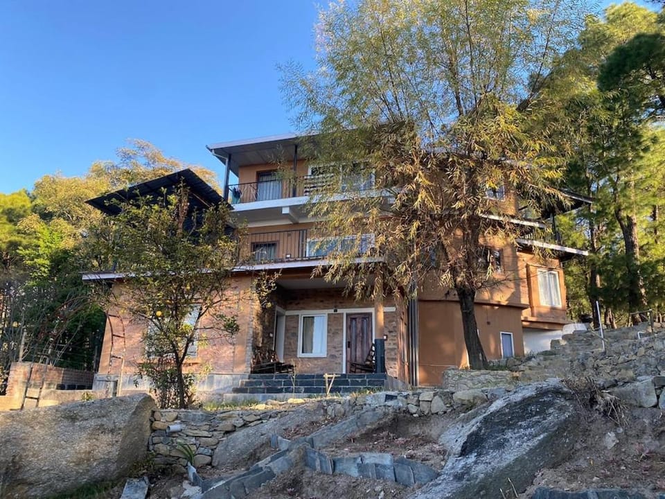 Property building, Day
