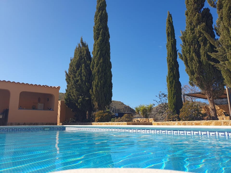 Natural landscape, Summer, Swimming pool, sunbed