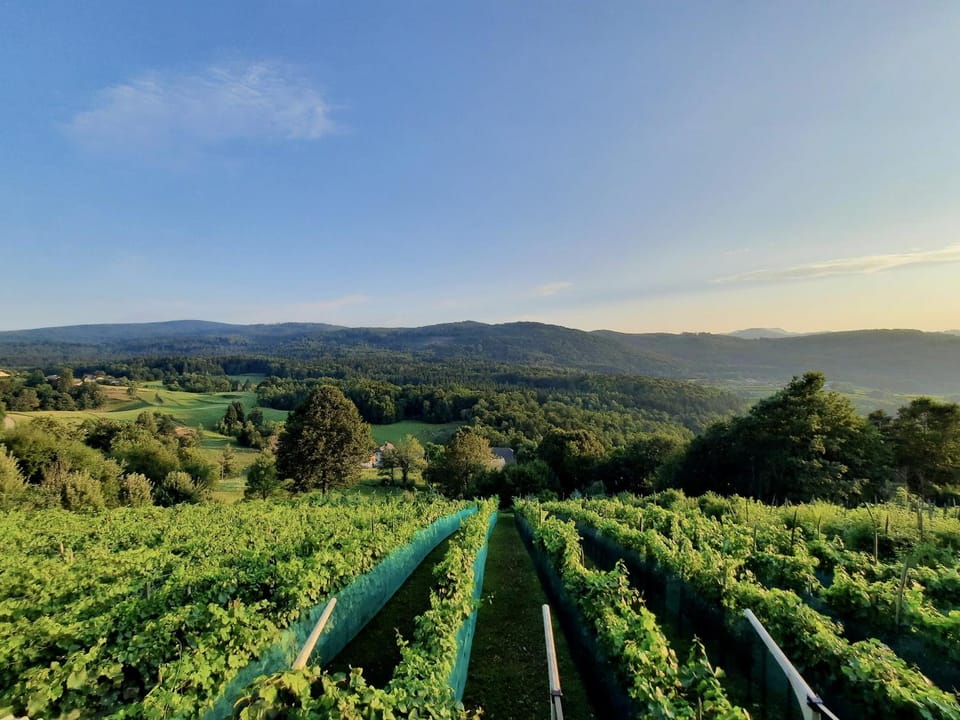 Natural landscape, View (from property/room)