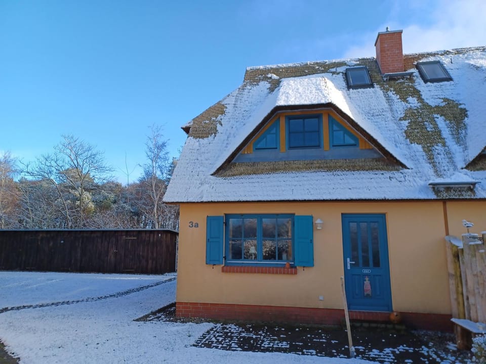 Property building, Winter