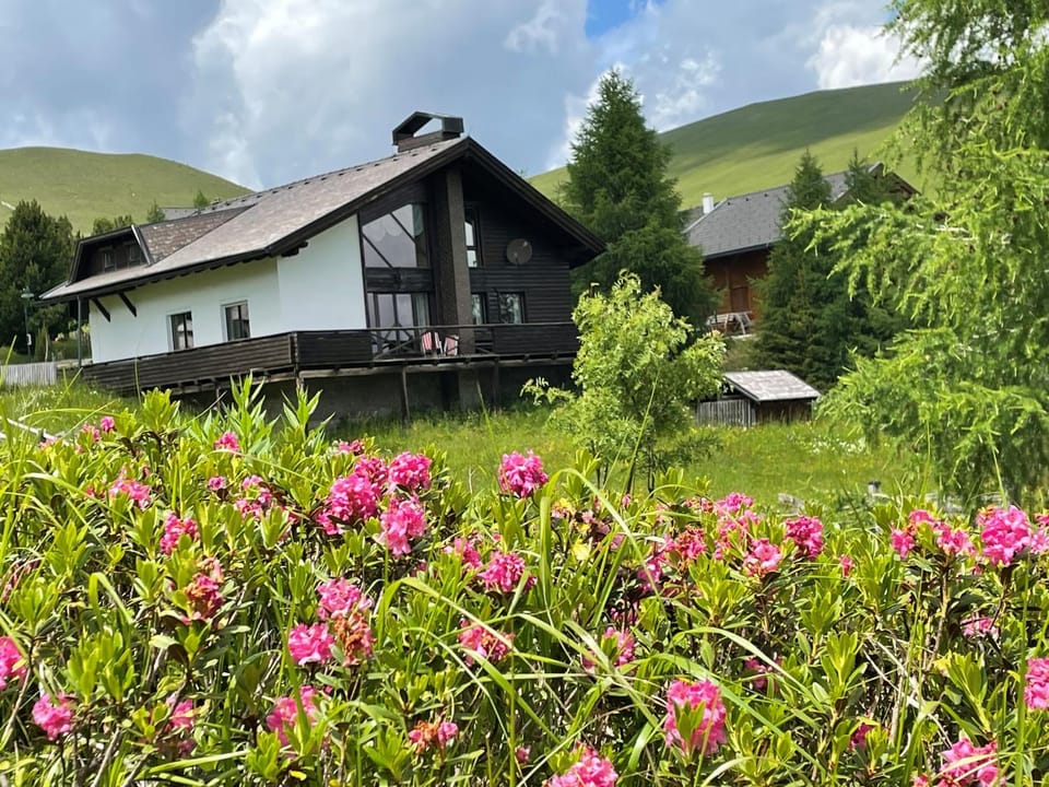 Property building, Garden view