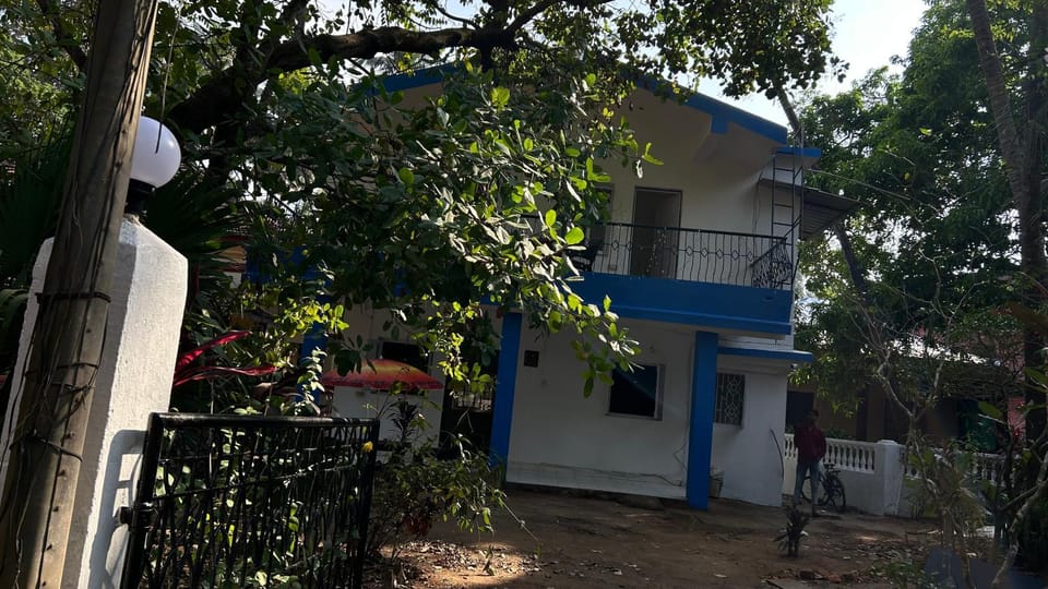 Property building, Garden, Garden view