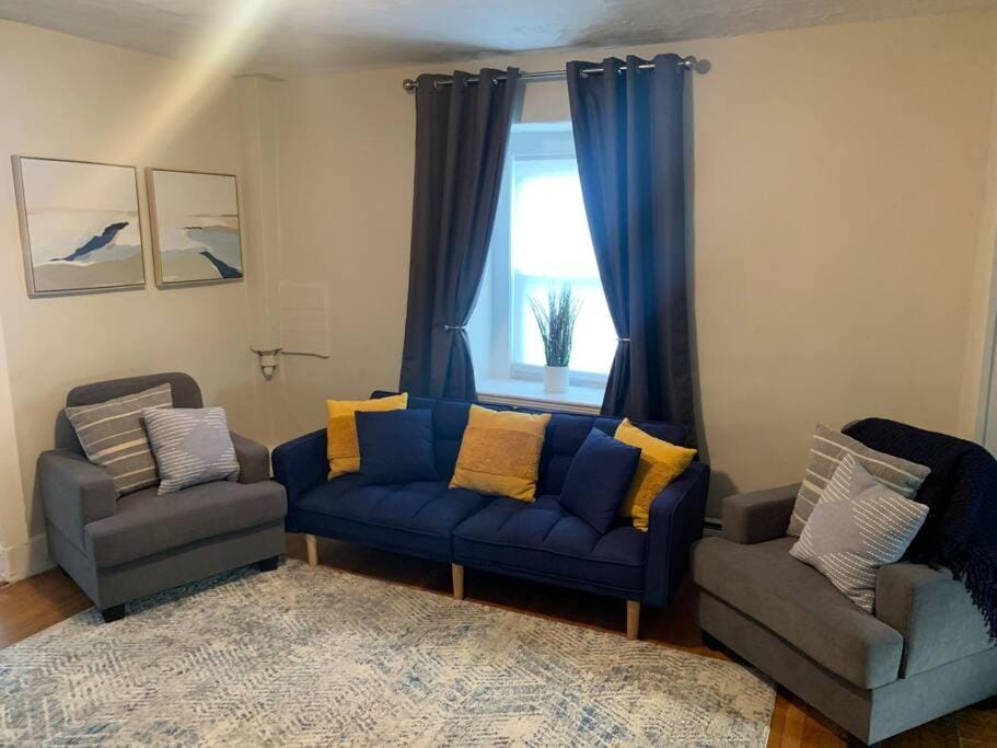 Cozy Cambridge Apt Apartment in Somerville