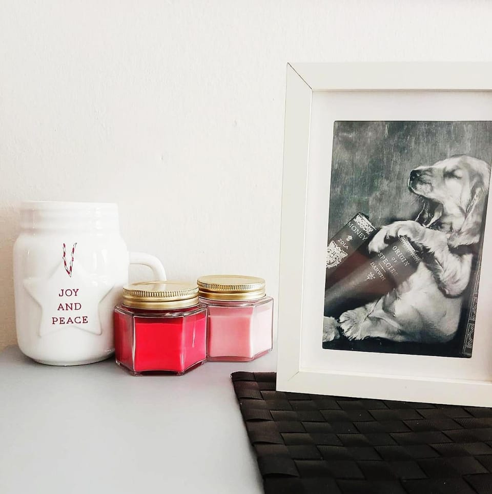 Piso A Capela con vistas al mar Apartment in Fisterra