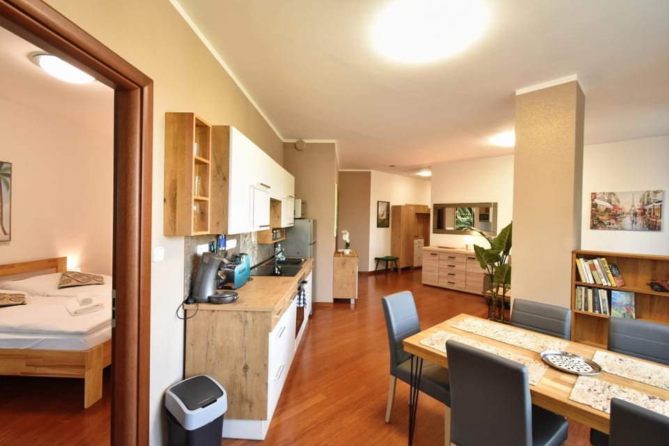 Bed, TV and multimedia, Kitchen or kitchenette, Living room, Photo of the whole room, Seating area, Dining area, Bedroom