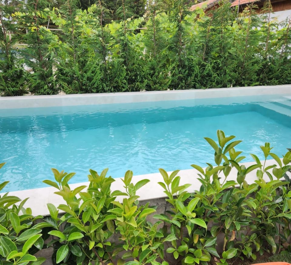 Spring, Pool view, Swimming pool, Swimming pool