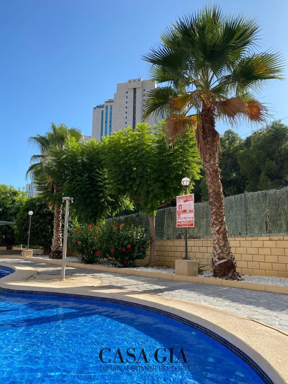 Day, Pool view, Swimming pool