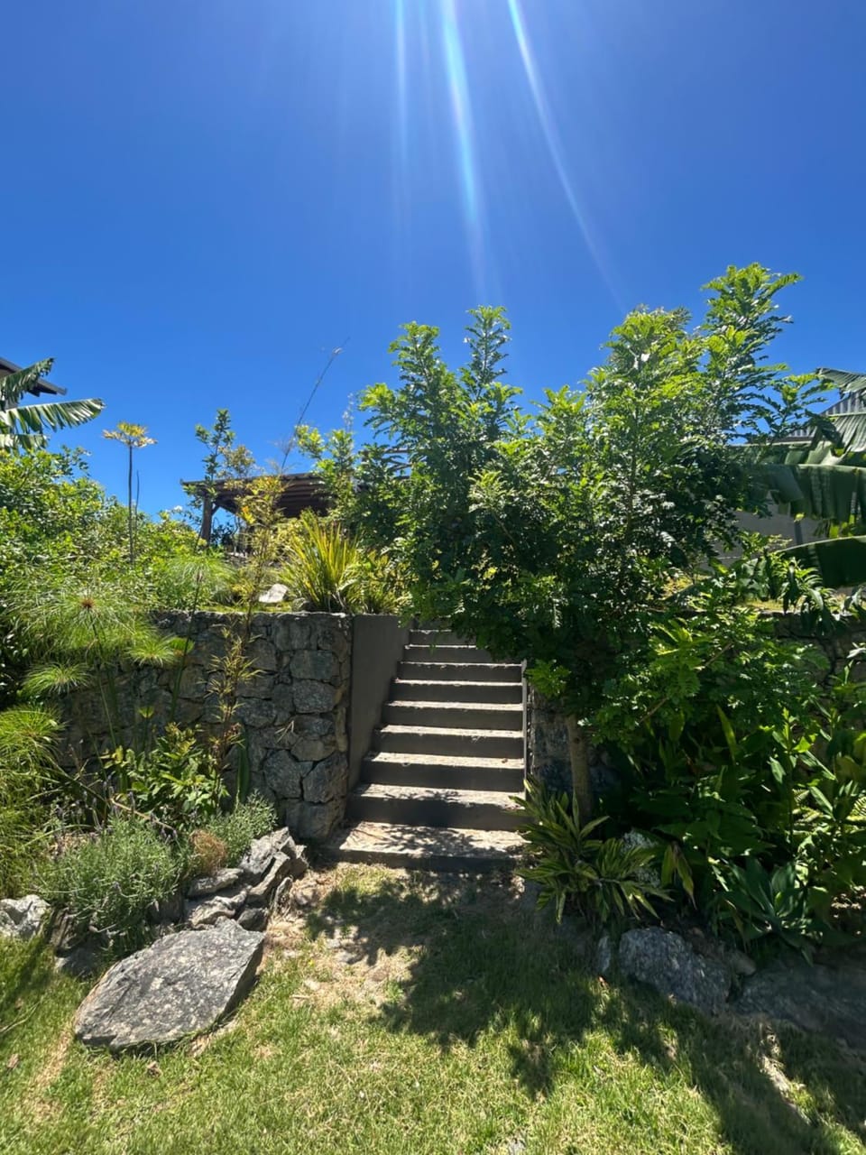 Garden view