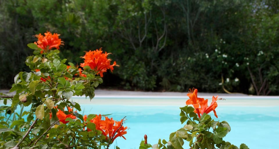 Spring, Swimming pool