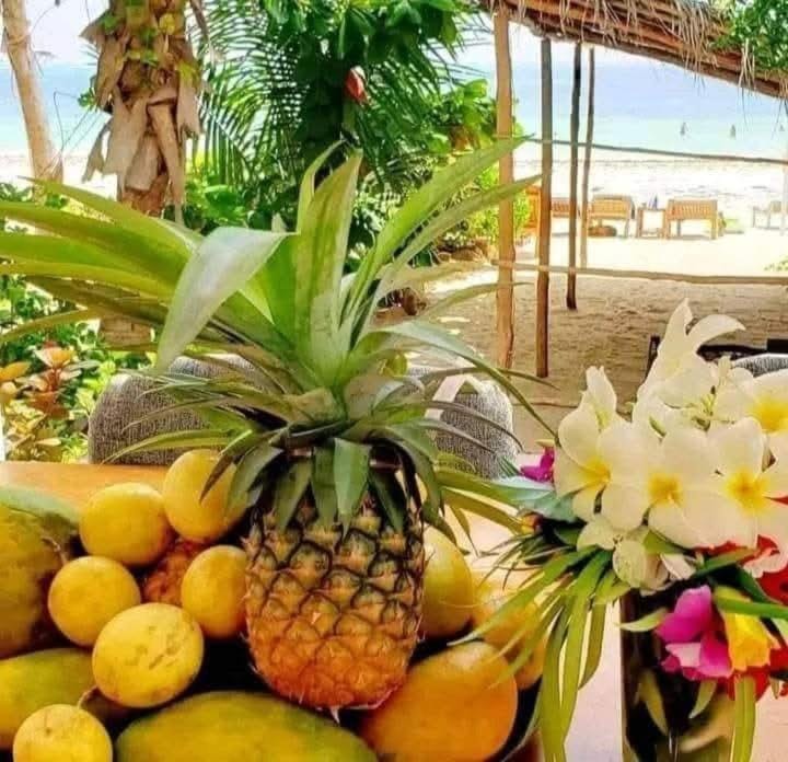 Sipano Beach Lodge Kiwengwa Bed and Breakfast in Unguja North Region