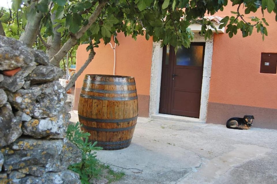 Village House House in Primorje-Gorski Kotar County