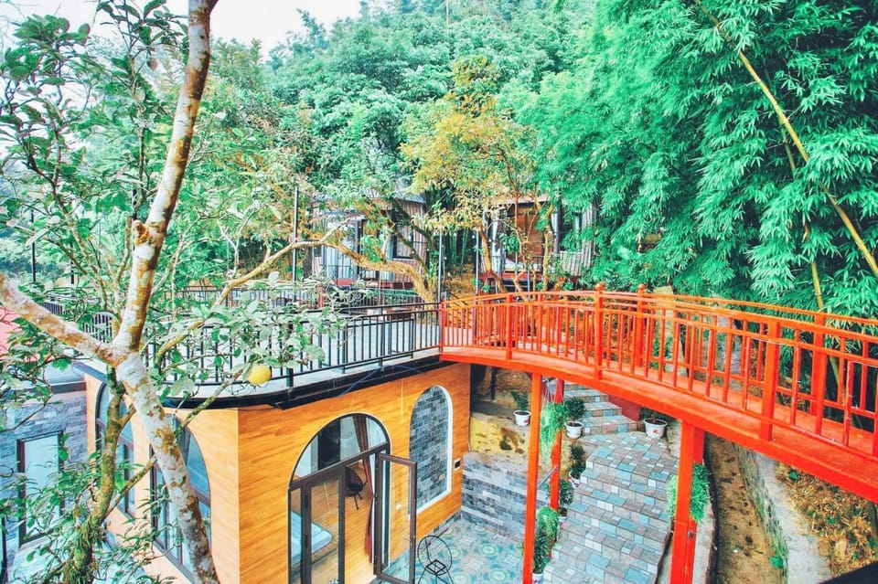 Day, Natural landscape, Garden view