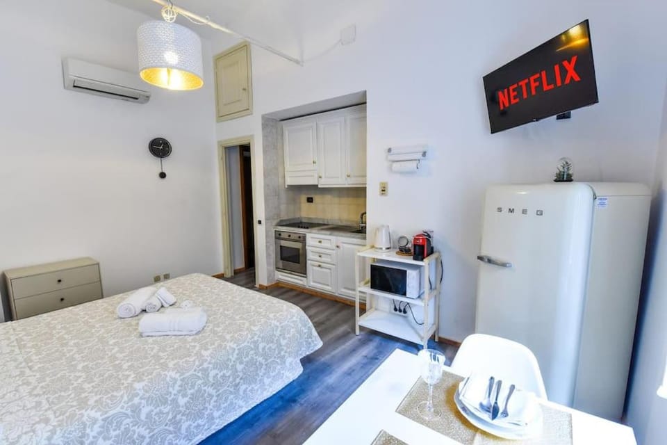 Bed, TV and multimedia, Kitchen or kitchenette, Photo of the whole room, Bedroom, minibar, pet friendly, stove, air conditioner