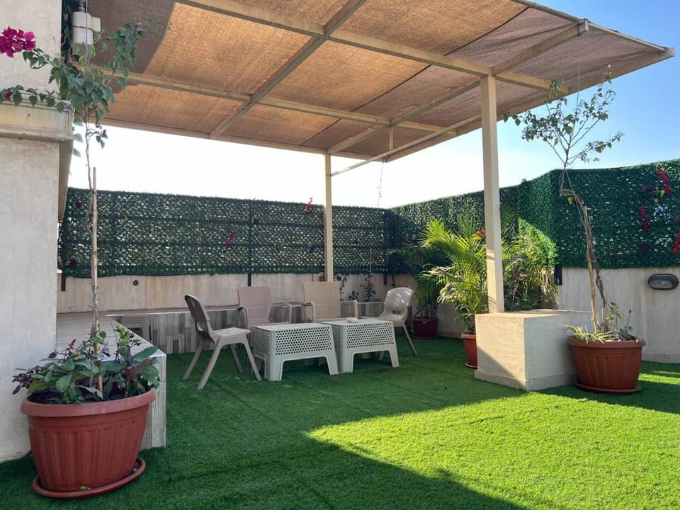 Patio, Spring, Day, Garden