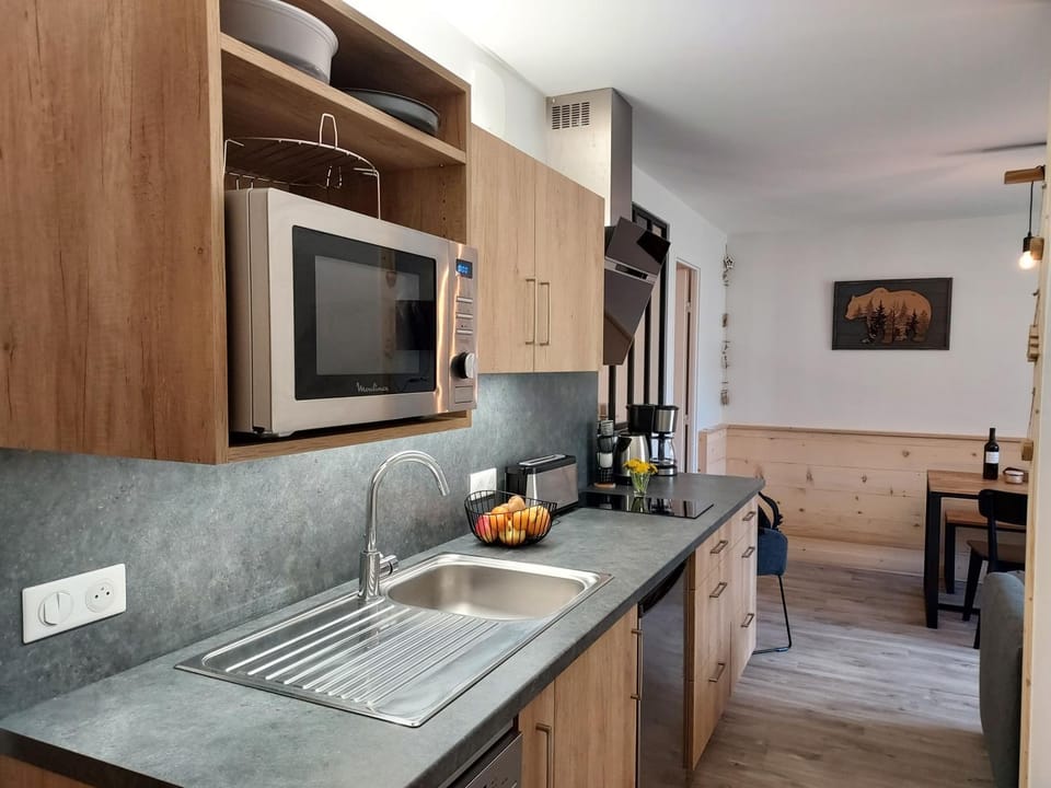 Kitchen or kitchenette, dishwasher, minibar, stove