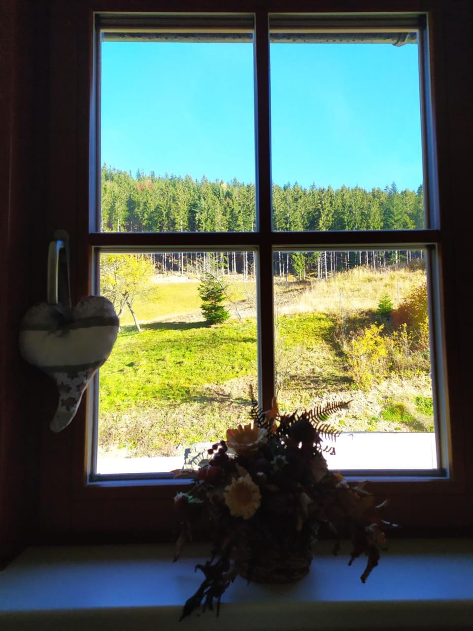 Spring, Day, Natural landscape, Garden, Garden view