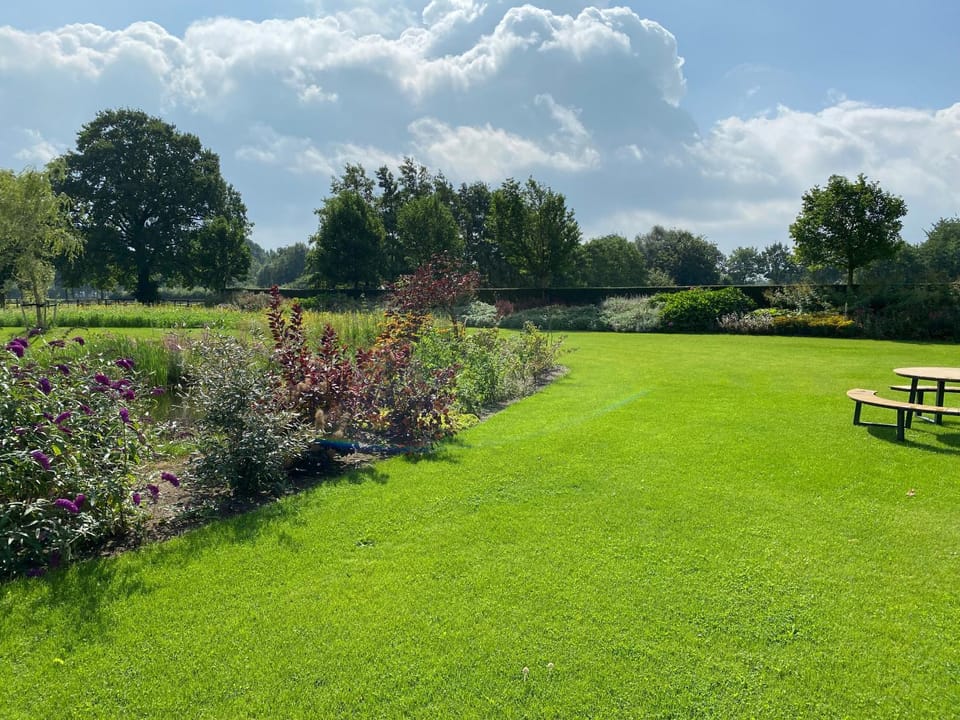 Garden view