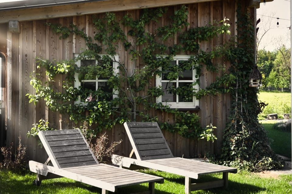 Summer, Garden, sunbed