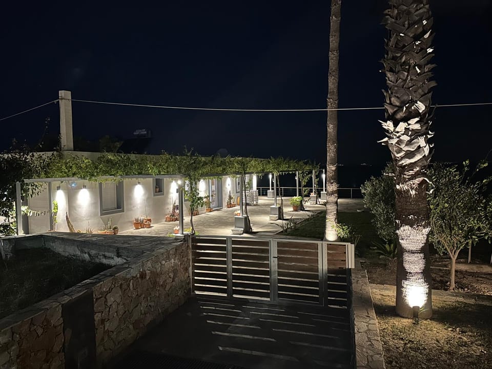 Patio, Night, Garden, Garden view