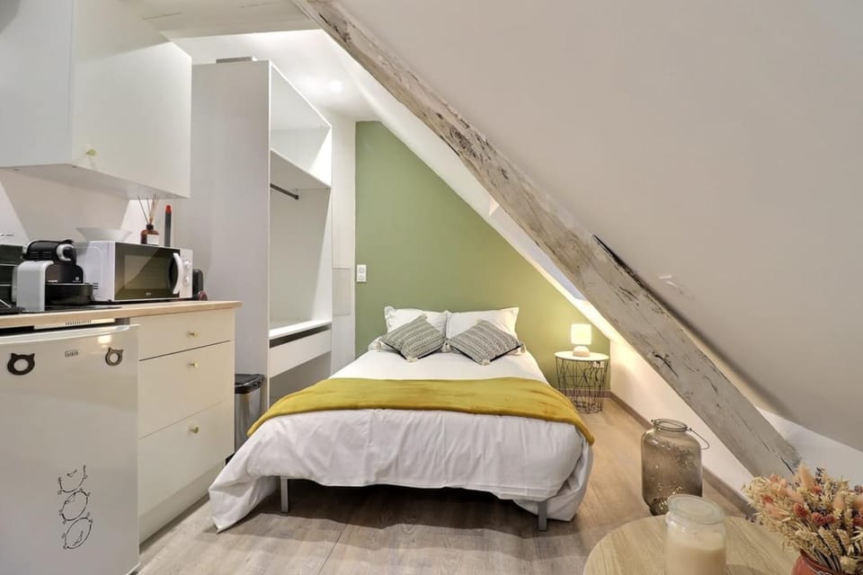 Le Perchoir Jaillant Apartment in Troyes