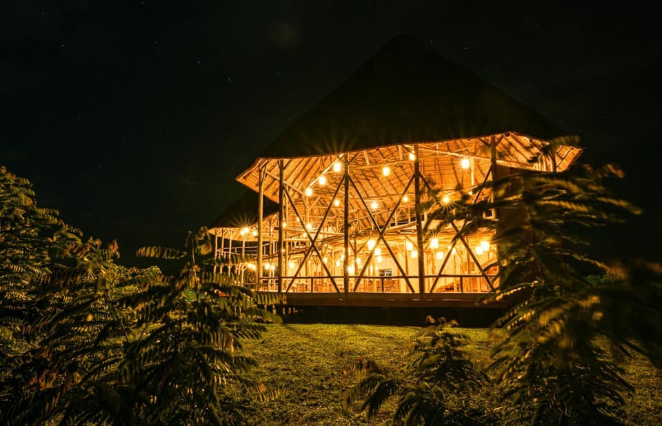 Night, Natural landscape