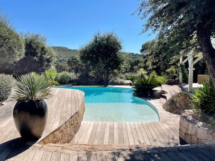 Day, Natural landscape, Garden view, Swimming pool, sunbed